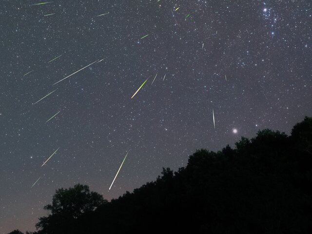    Фото: 123RF/majochudy