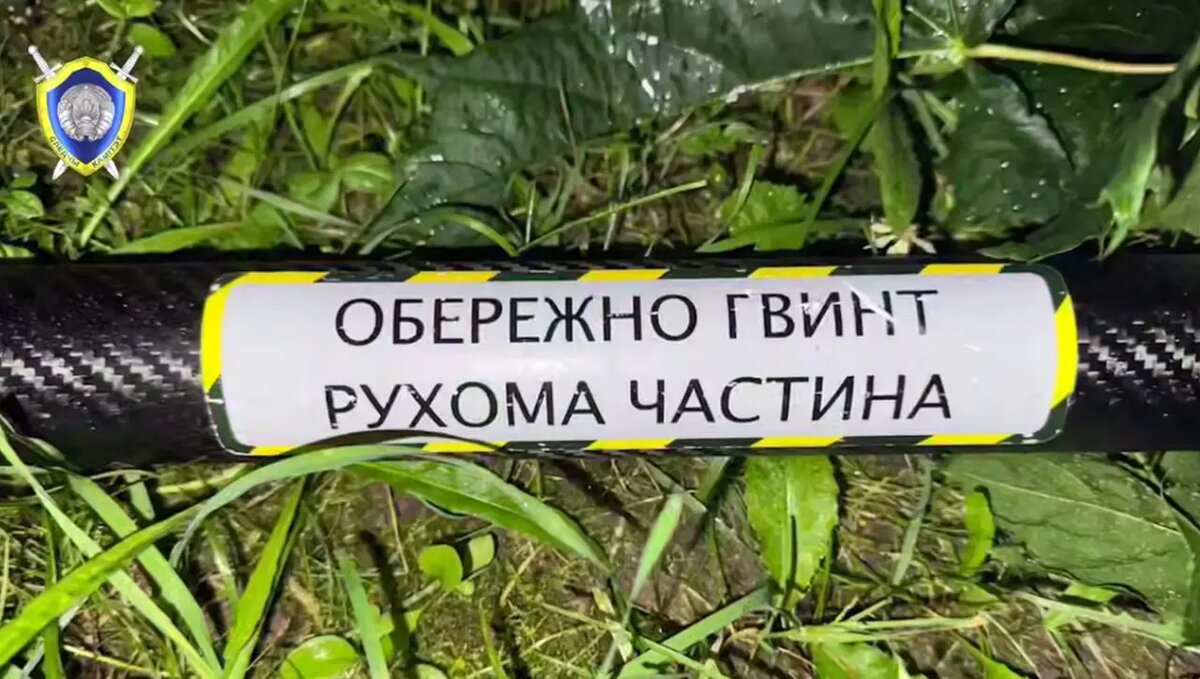    Фото: скриншот из видео пресс-службы СК Белоруссии.