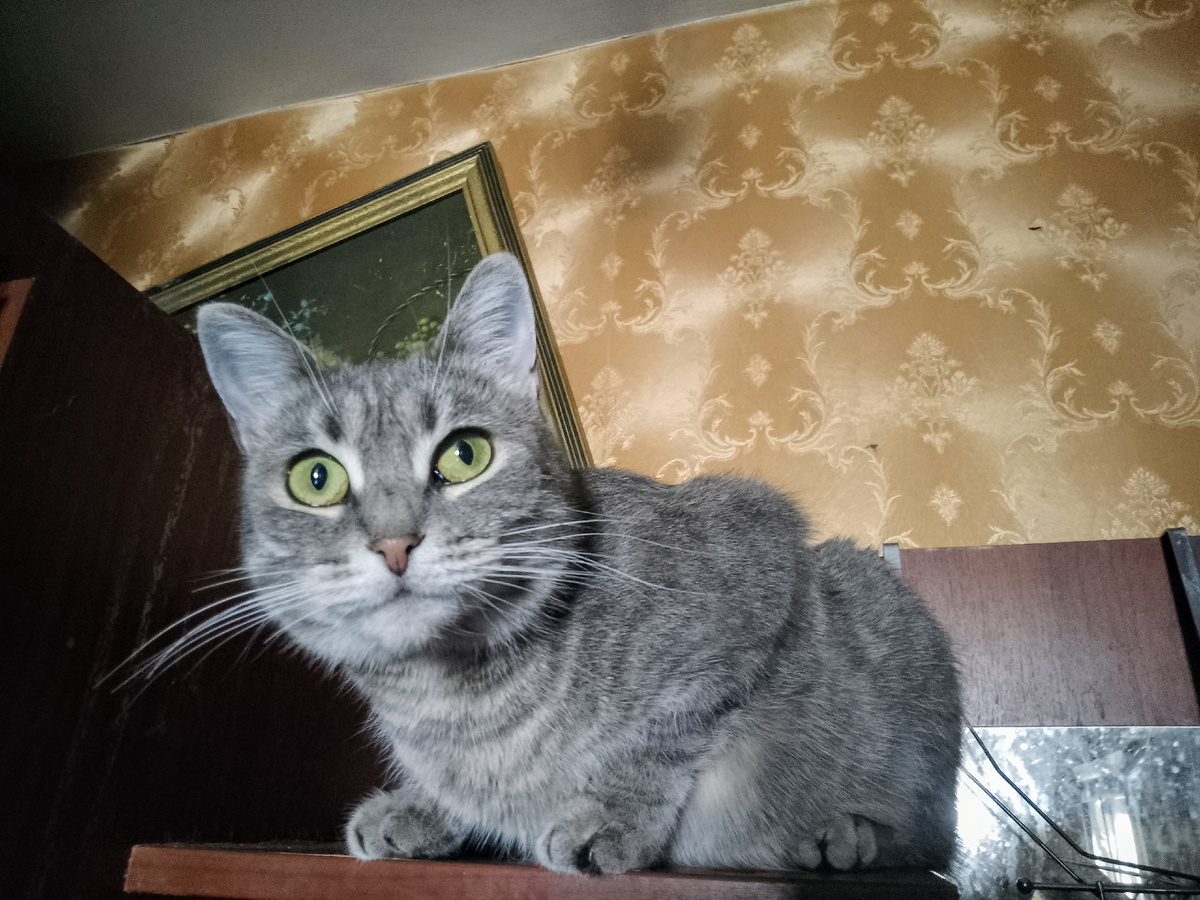 Милана умеет делать сложное литсо