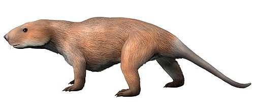 Риограндия. Иллюстрация.