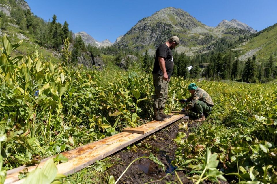   Московские студенты в Катунском заповеднике. Источник: Екатерина Вихрова, сотрудник пресс-службы РТУ МИРЭА и Евгений Бутушев