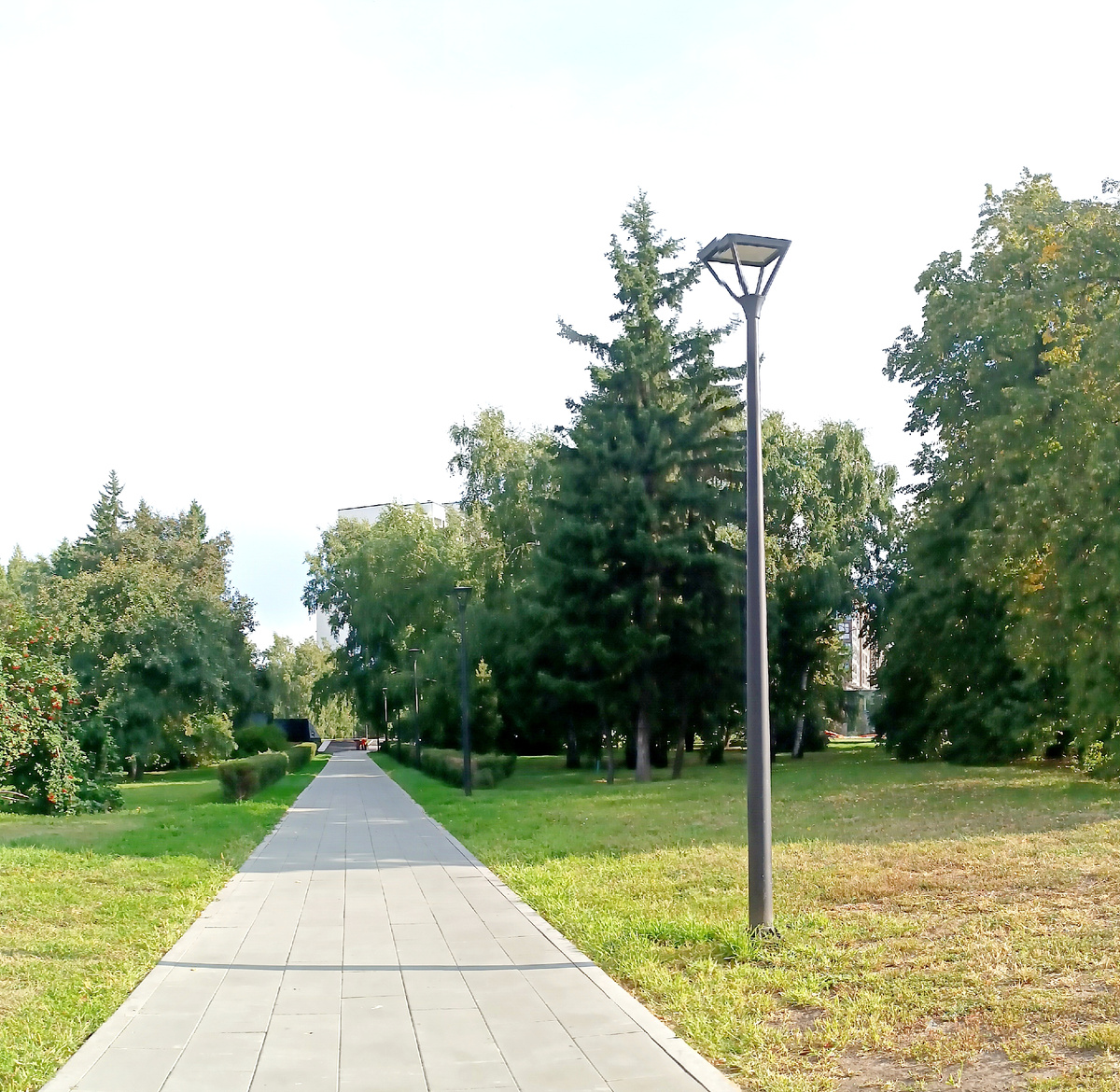 Где-то на просторах моего летнего города. Фотография автора, июль 2025 года. 