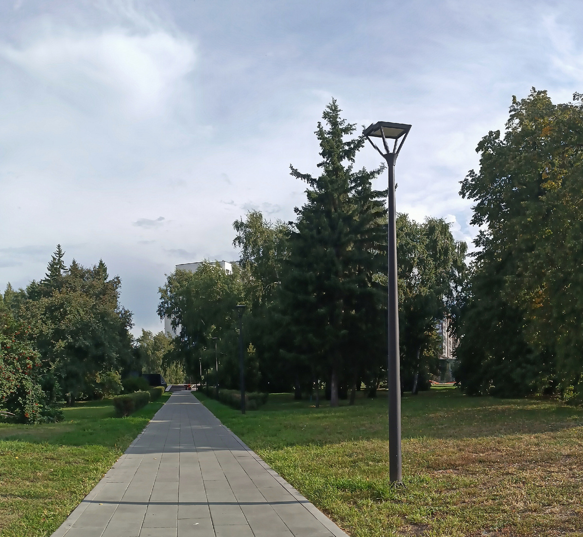 Где-то просторах моего города. Фотография автора, июль 2025 года. 