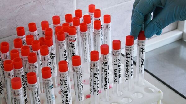    © Sputnik / Евгений Епанчинцев