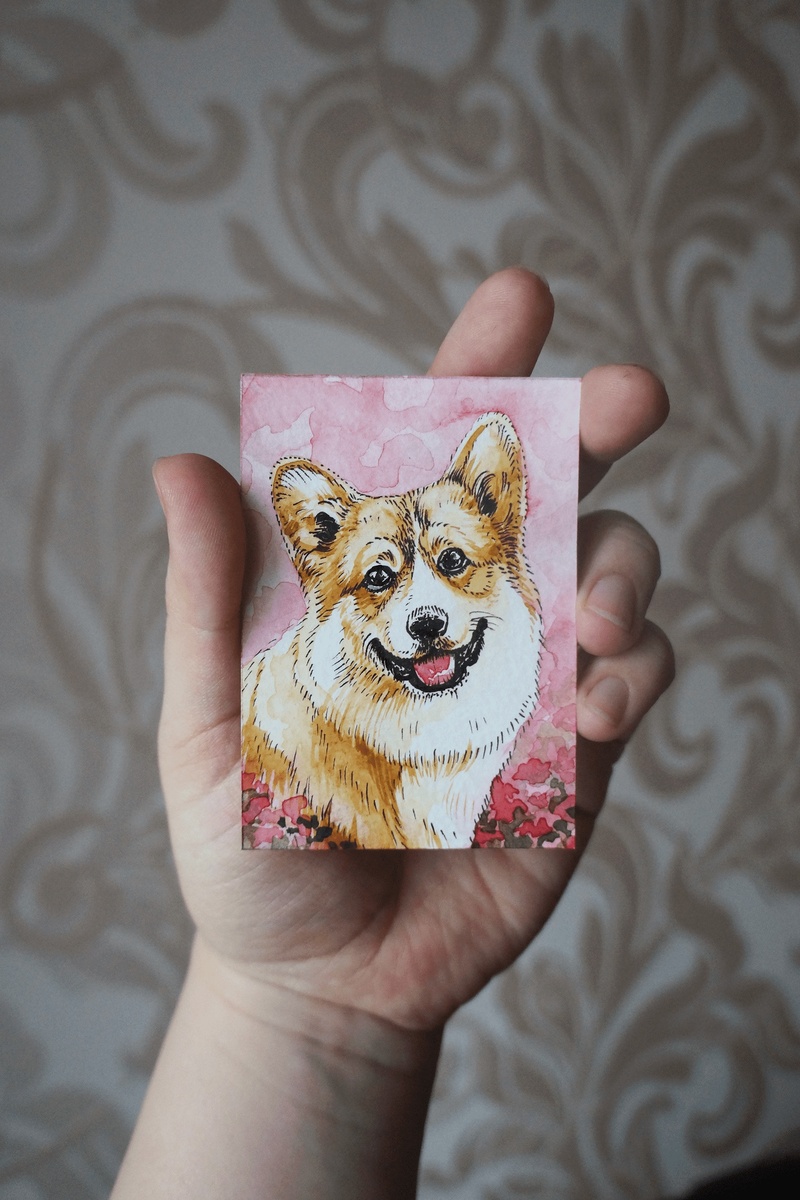 Корги.
Рисунок выполнен акварелью и чёрной ручкой. 
Размер 6,5х9 см. 2021 год. Автор: Корягина Светлана (Корга Арт)