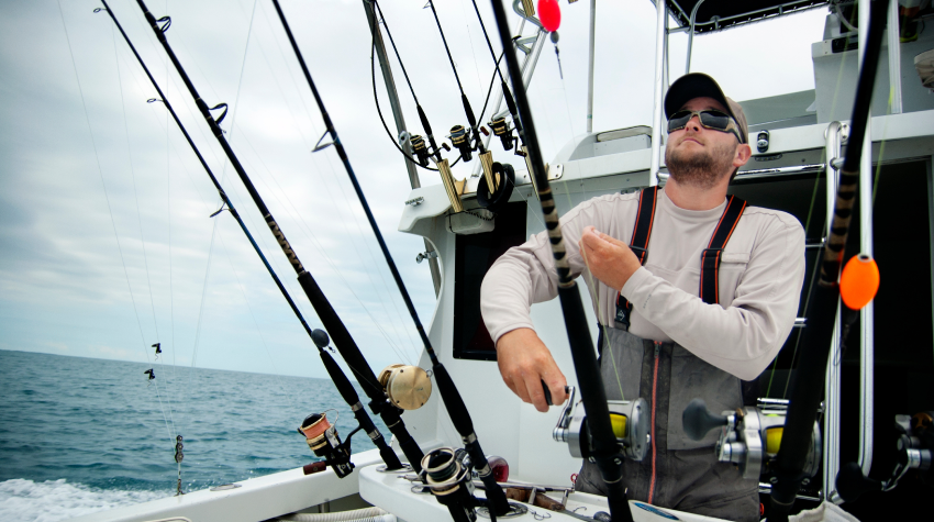 Источник: stock.adobe