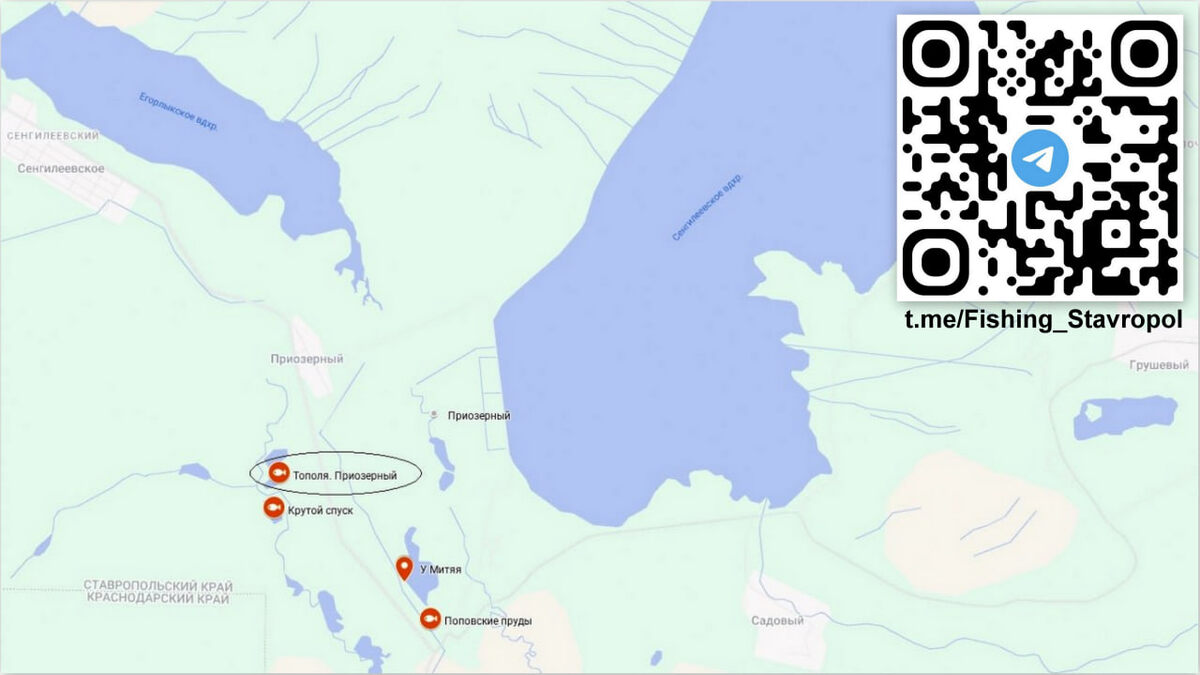 Платная рыбалка водоем "Тополя. Приозерный"