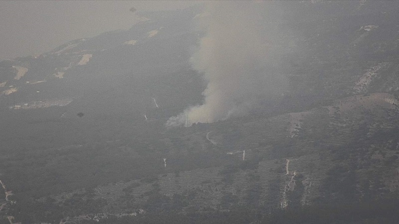    Фото: пресс-служба Краевого лесопожарного центра