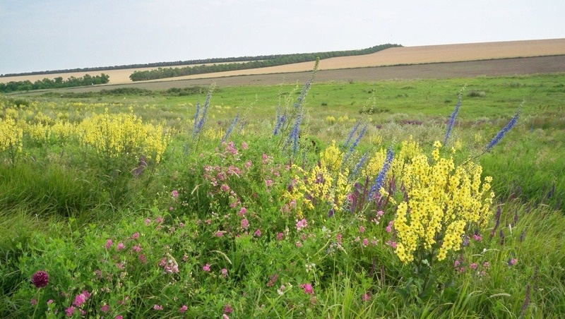      Фото: Минприроды Ставропольского края
