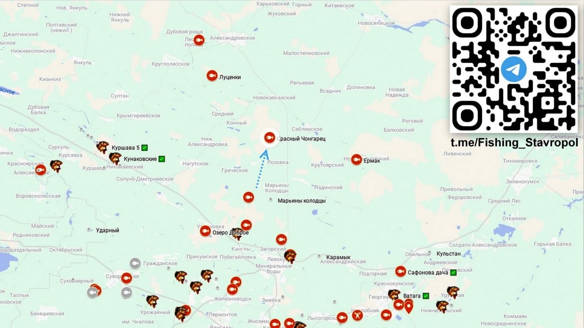 Платная рыбалка водоем Красный "Чонгарец"