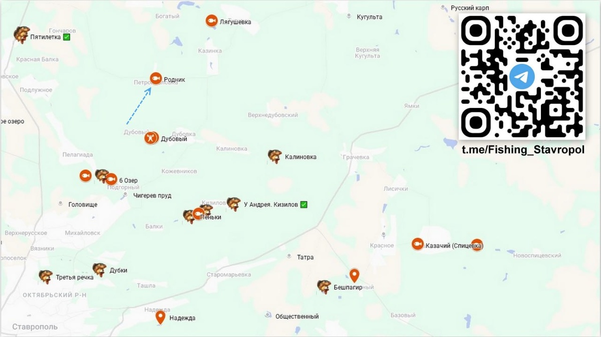 Платная рыбалка водоем "Родник"