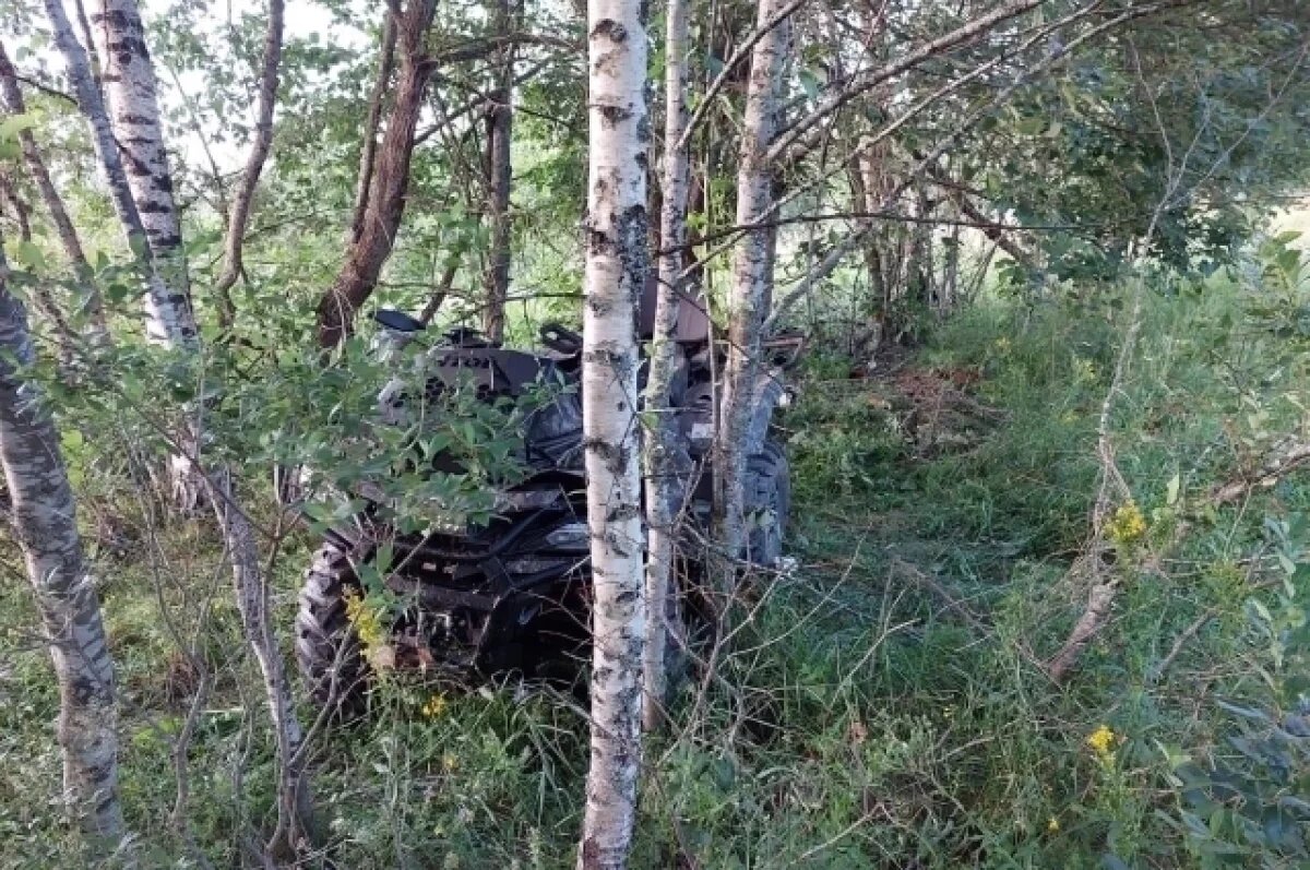    Квадроцикл врезался в деревья.