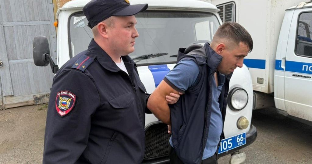 В уральской деревне убили общего любимца – лебедя. Стрелок пришел с повинной