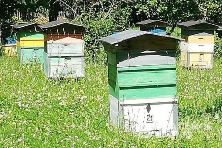   Реальное время / realnoevremya.ru