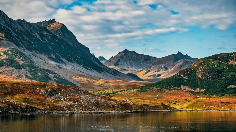    В США предложили выкупить у России Командорские острова за $15 млрд