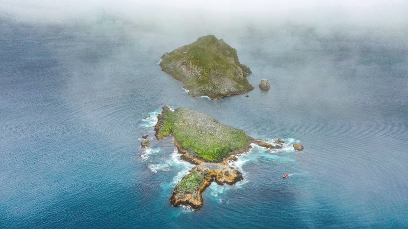    В США предложили выкупить у России Командорские острова за $15 млрд