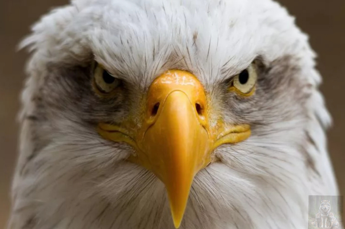 Я в шоке про эти все байки обо мне