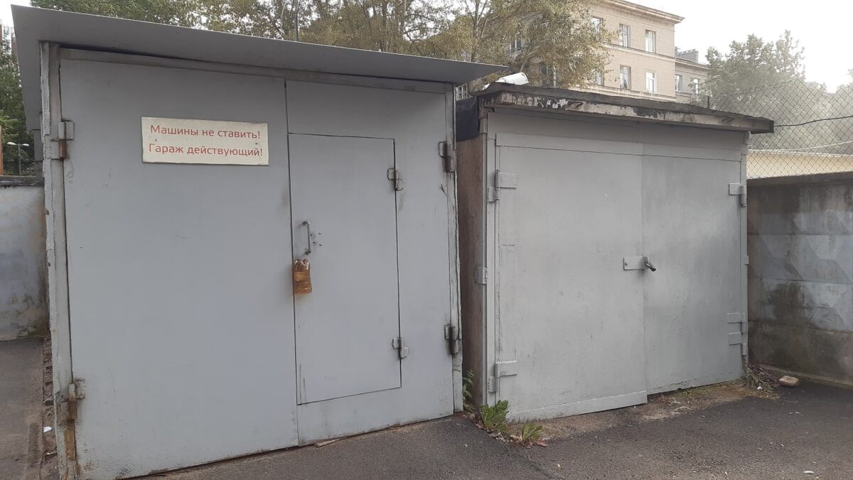 Фото: архив МК в Питере