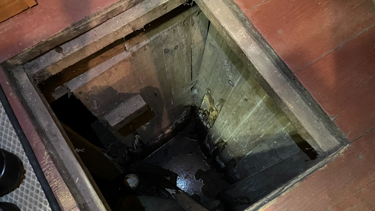 Фото: архив МК в Питере