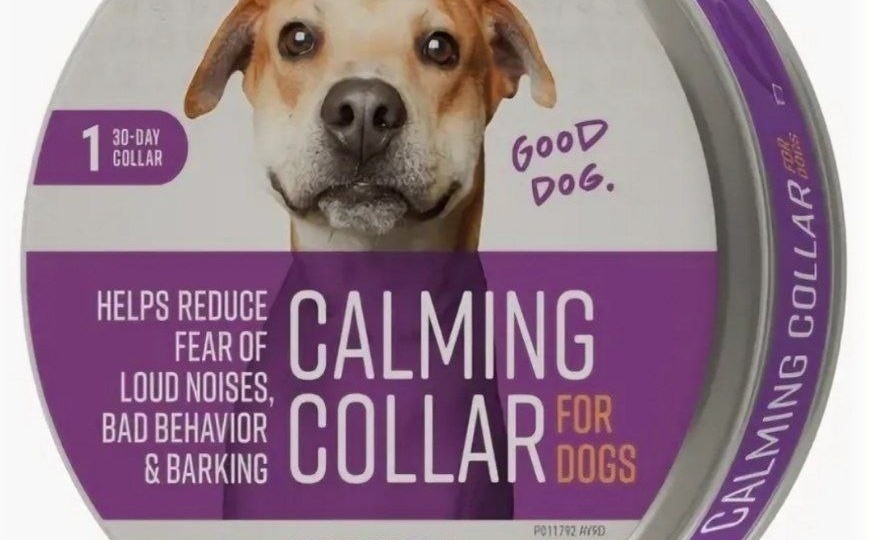 Фе­ромоновый ошейник