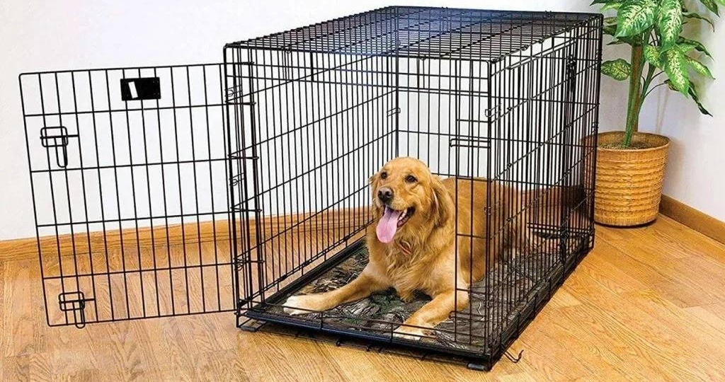 Клетка для собаки - домик или тюрьма?