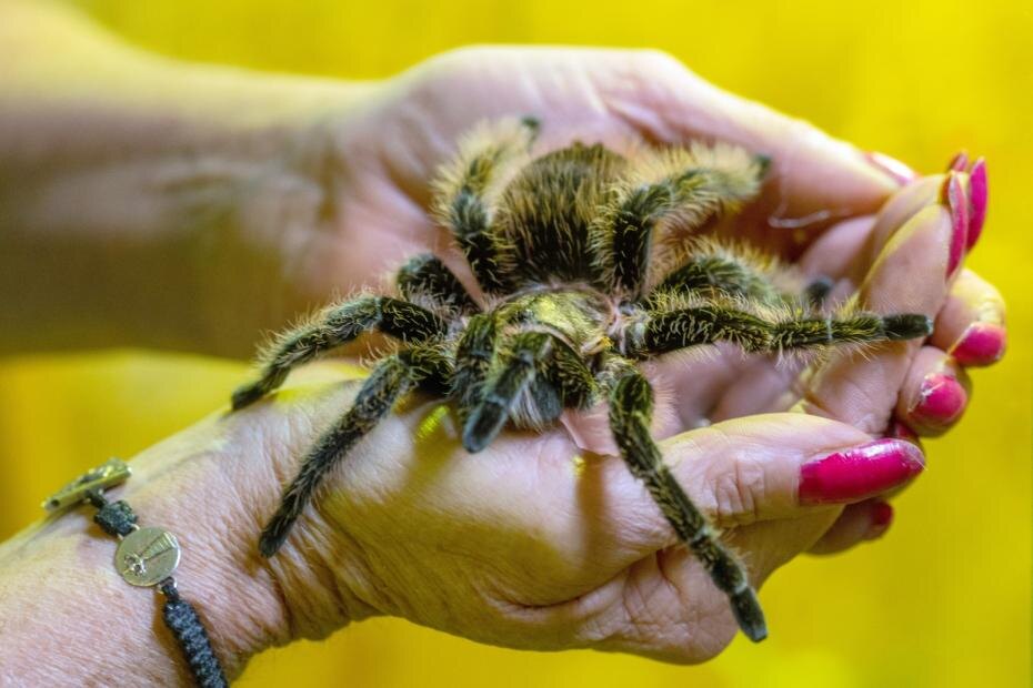    Helmut Fricke/dpa/Global Look Press