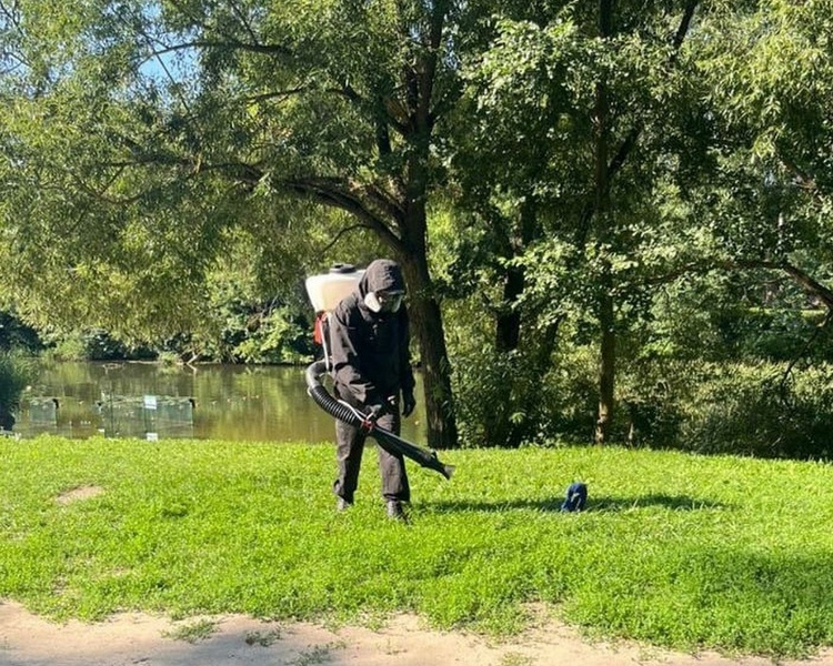     В Курске 8 муниципальных пляжей обработают от клещей