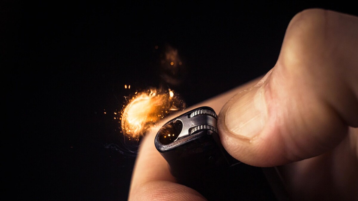    Фото: Nazaruk Nazar / Shutterstock / Fotodom