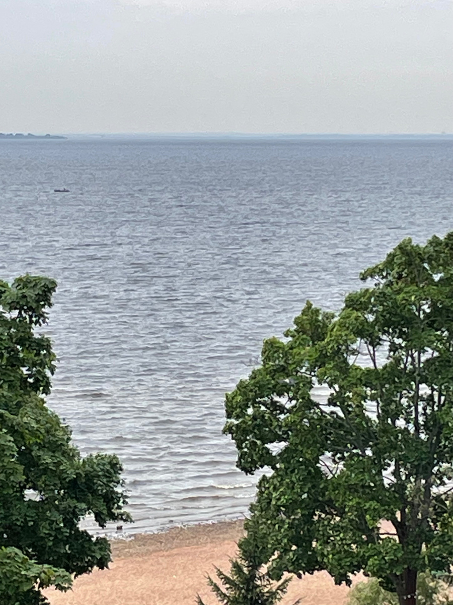 Ветер гонит волну