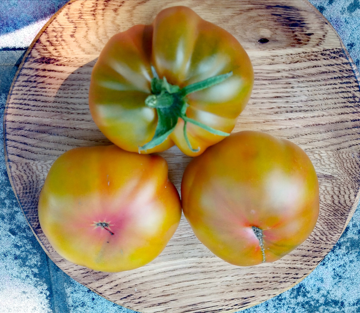 Фото автора от29.07.2025г. Групповой портрет помидоров сорта Козула 68.