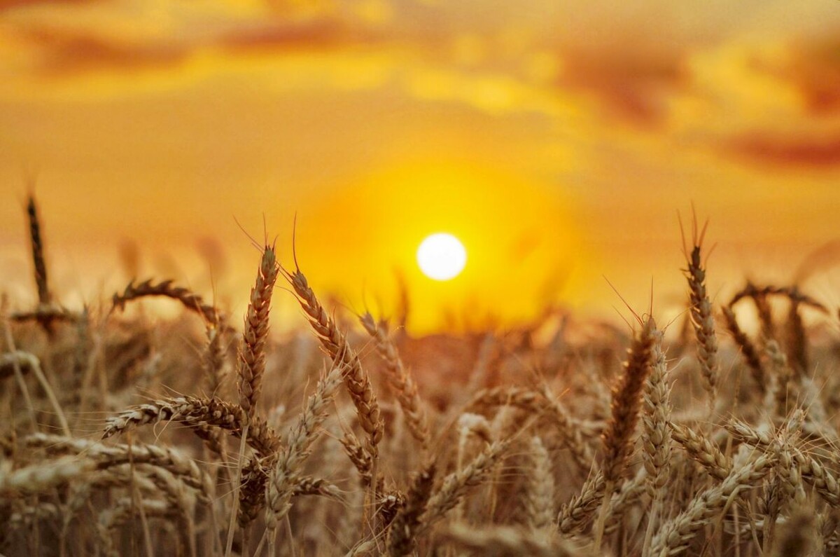 Фото: Галина Григорьева.