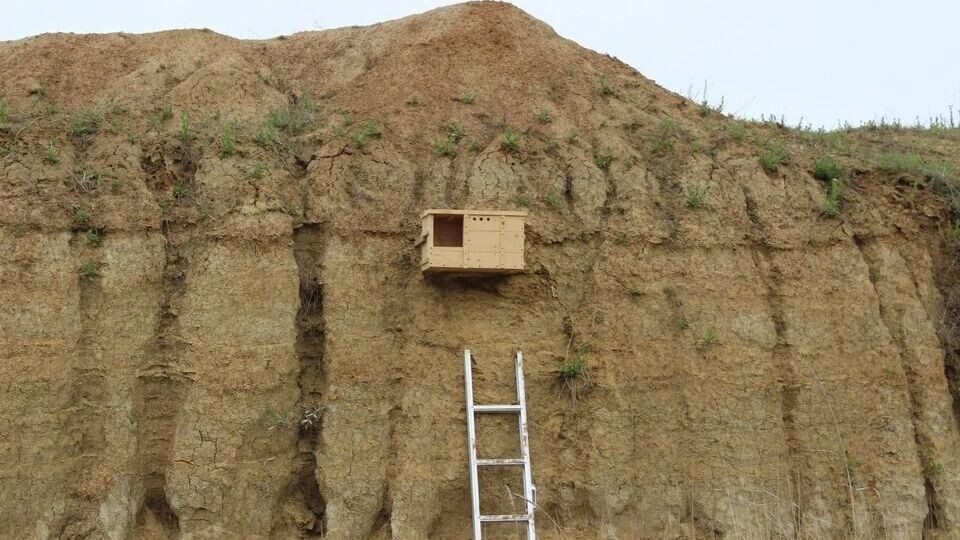     Источник: пресс-служба Минприроды Кубани