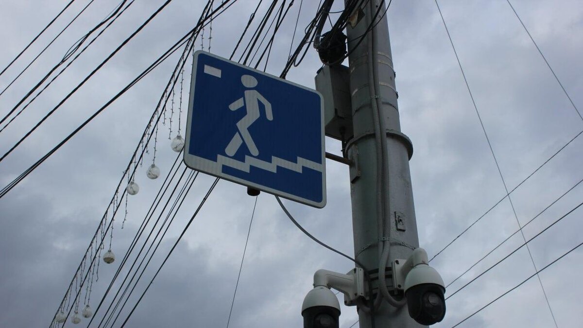    Фото: ru.freepik.com / сгенерировано с помощью ИИ