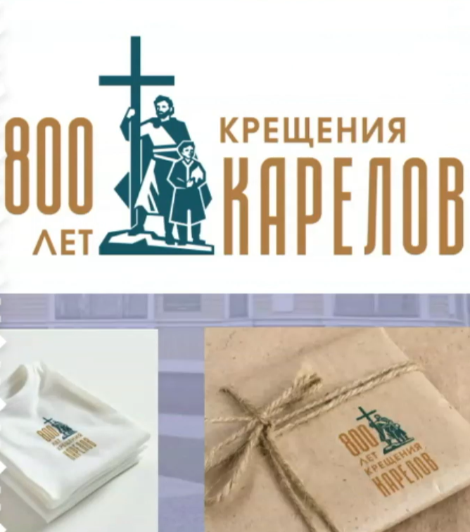    Фото с заседания правительства Карелии