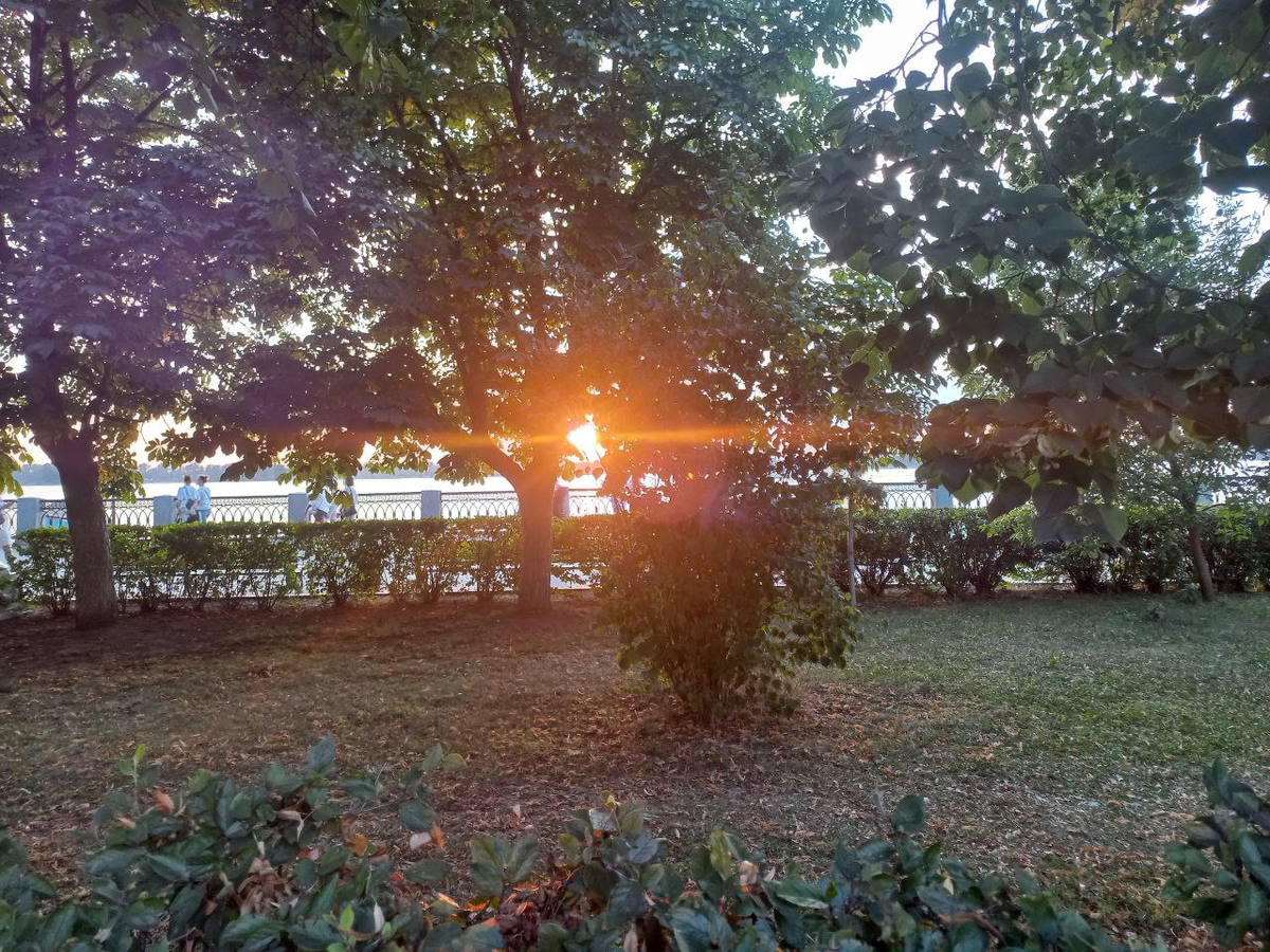 Фото автора.