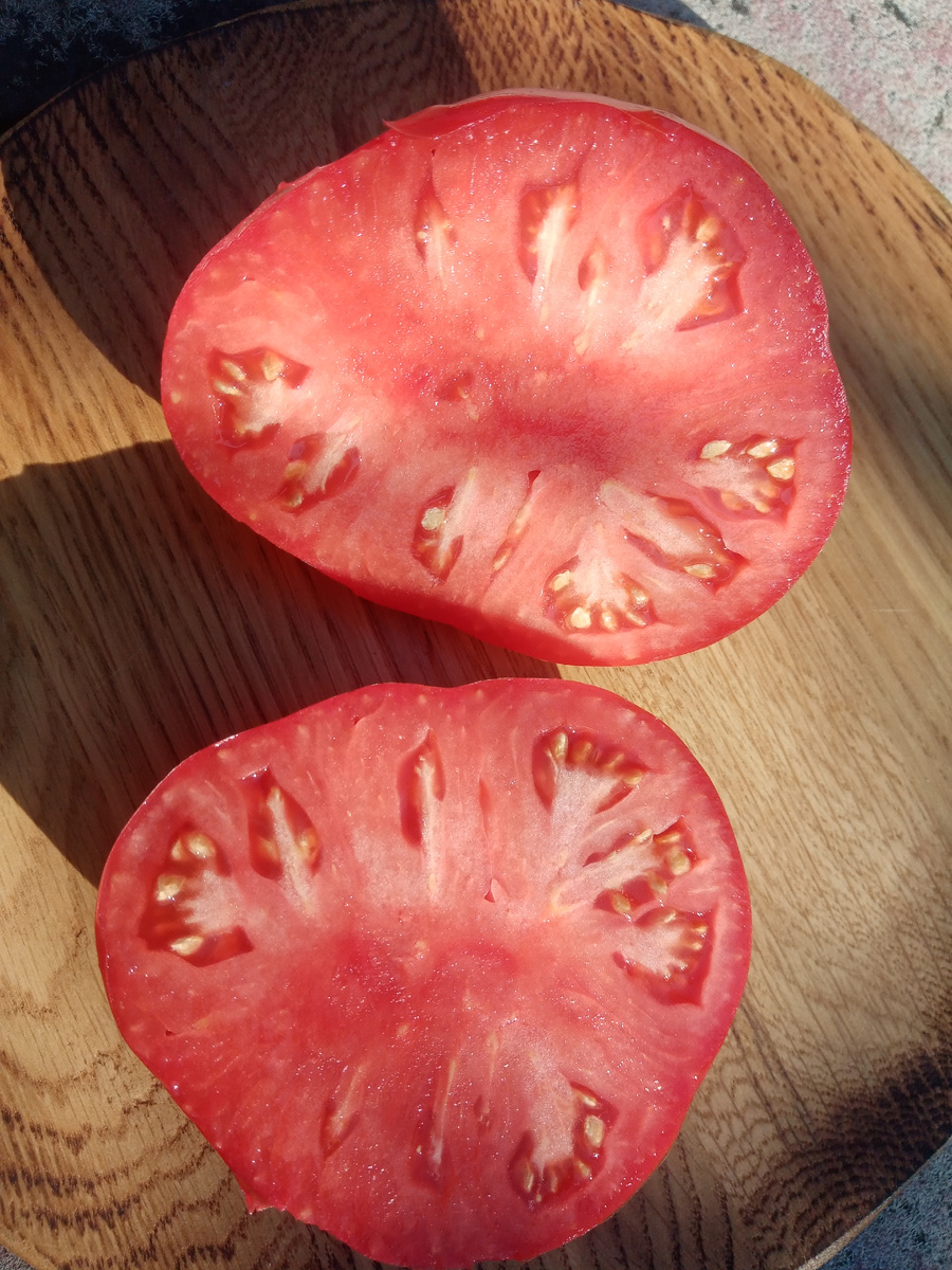 Фото автора от 29.07.2025г. На разрезе они также великолепны!