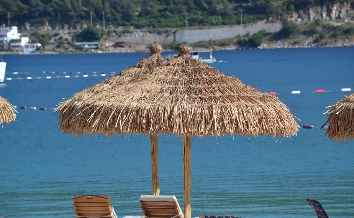    Российский турпоток на Эгейское побережье Турции в первом полугодии 2025 года вырос на 2,8%