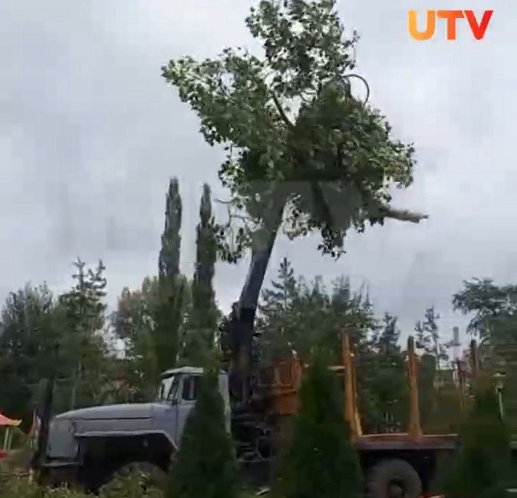    скриншот с видео Telegram–канала UTV