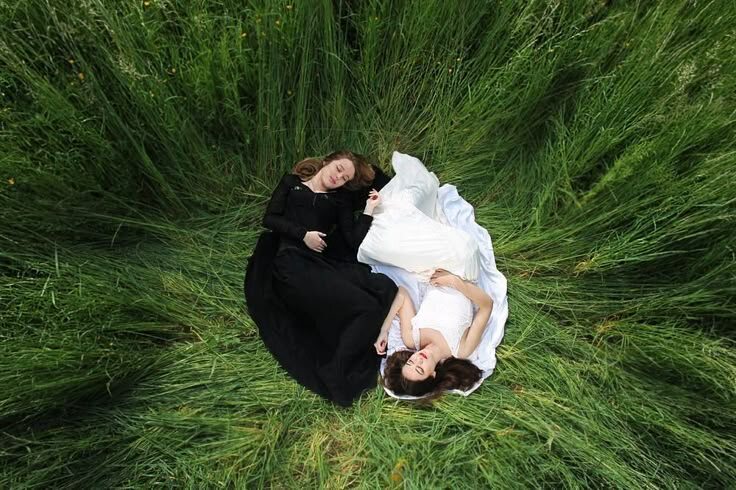 Изображение: Daily Dozen