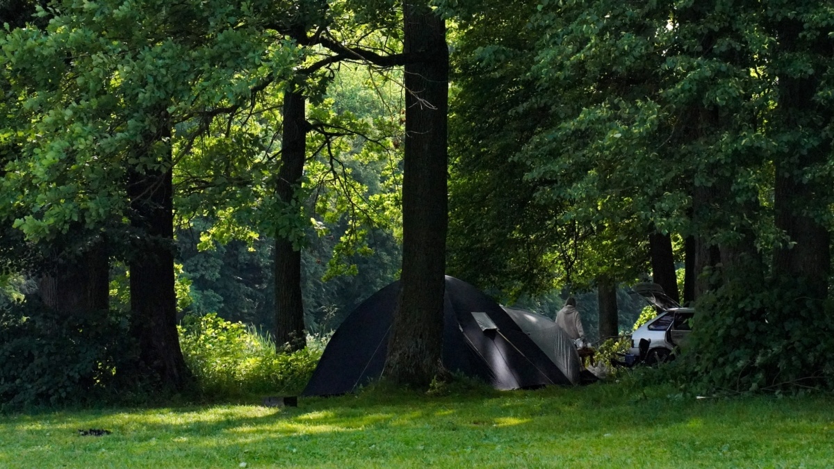 Светлана Мулыкина📷
