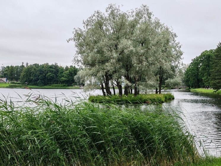   МК в Бурятии