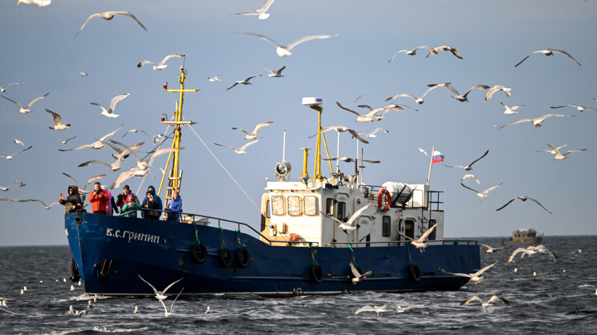    Фото: Лев Федосеев/ТАСС