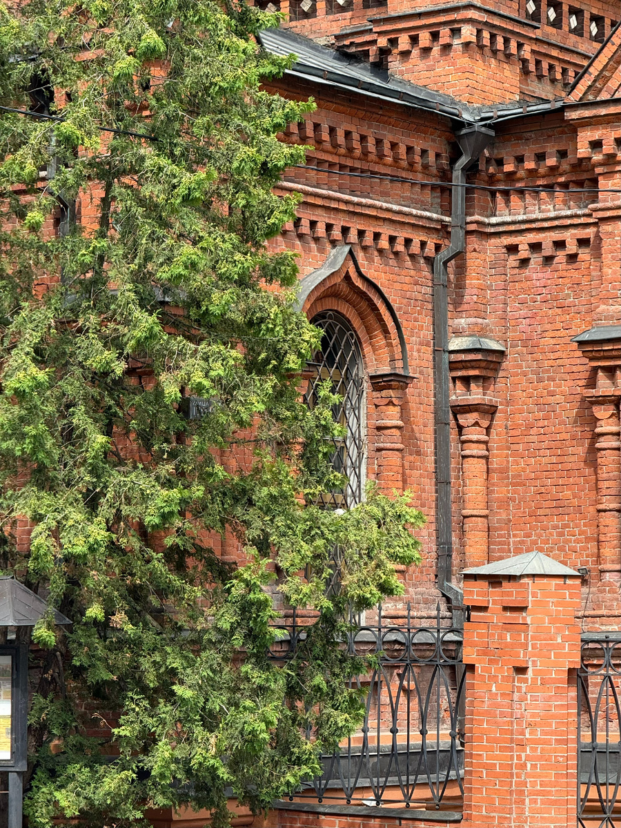 Фото автора канала. Храм святителя Митрофана Воронежского.