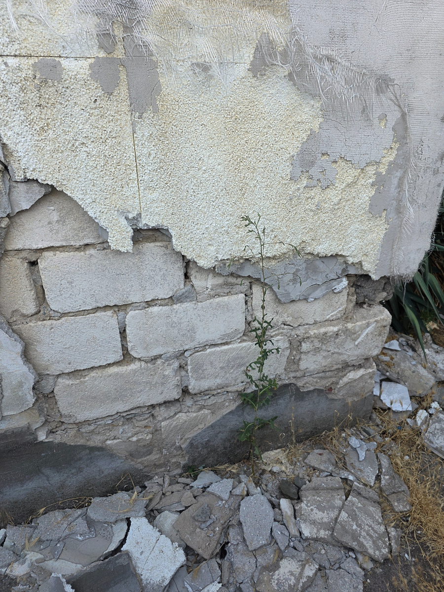 Под обшивкой историческое наследие