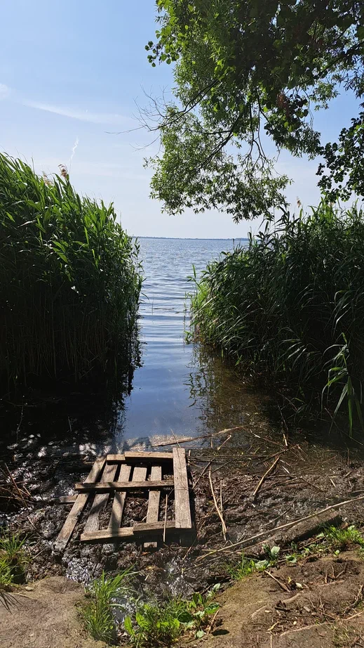 Это фотография июньская, сейчас всё намного хуже...