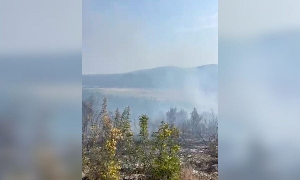    Скриншот видео t.me/kabardinka_kurort