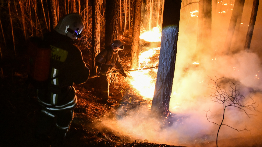    Фото: © РИА Новости/Евгений Епанчинцев; 5-tv.ru