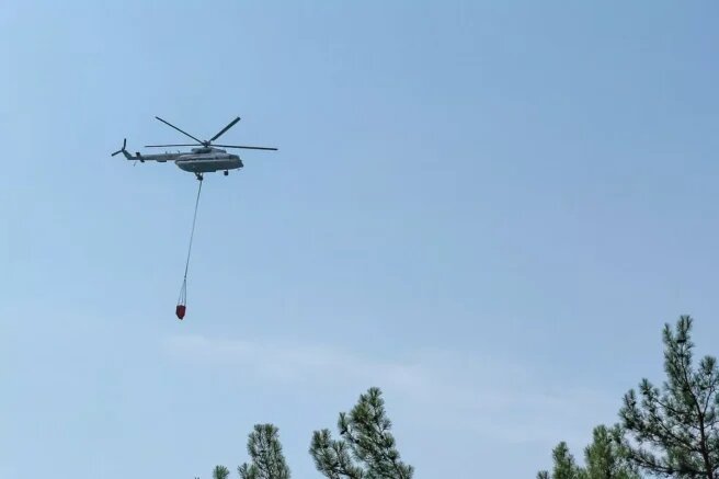    Вертолет МЧС тушит пожар. Фото: t.me/BogodistovAA