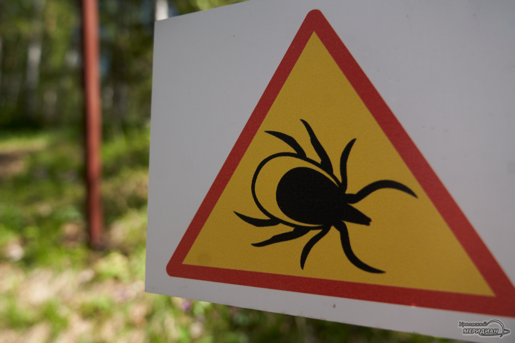    Фото: Лидия Аникина © ИА «Уральский меридиан»