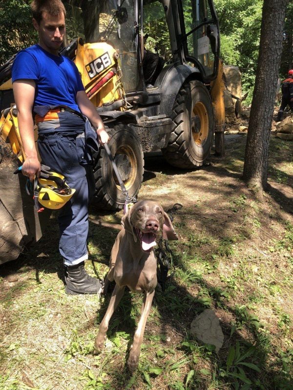    Фото: тг канал мэра Кисловодска Евгения Моисеева.